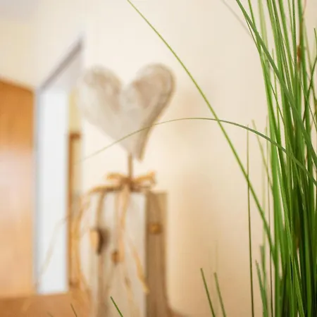 Seestern * Κουξχάφεν