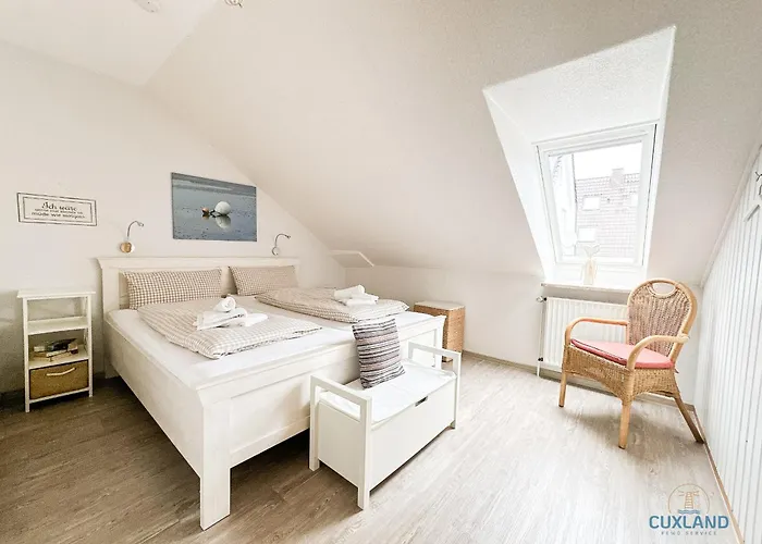 Seestern 库克斯港